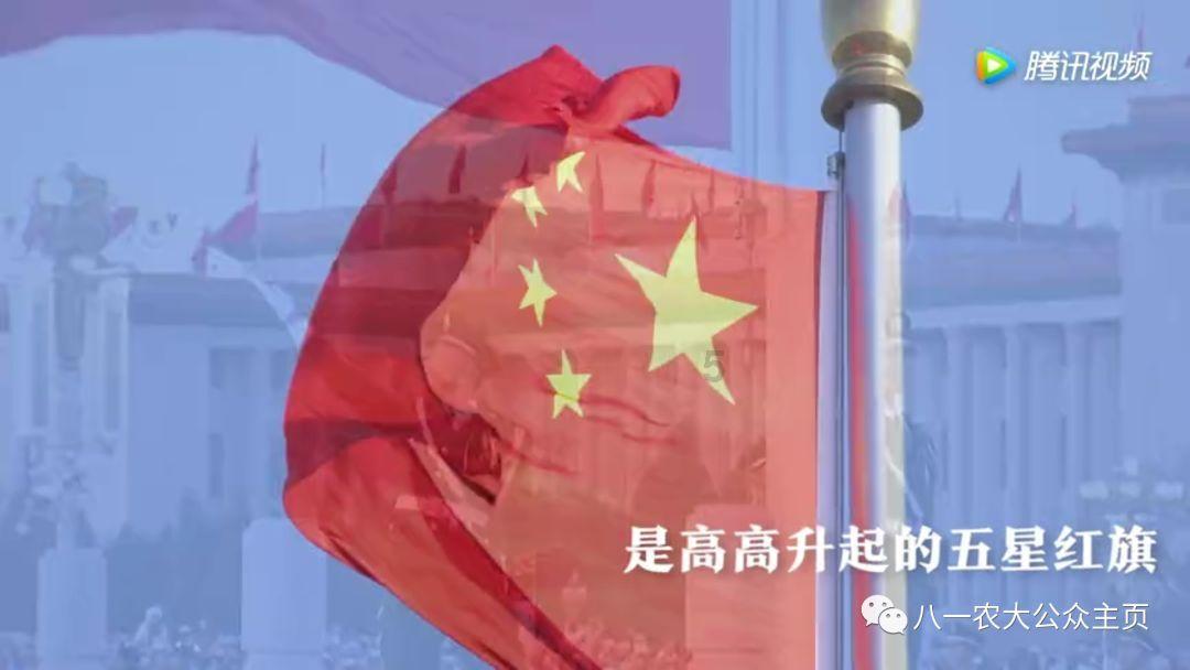 拯救小萌虎